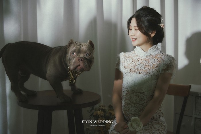 寵物寫真,寵物攝影,寵物照,毛孩照,紀念照